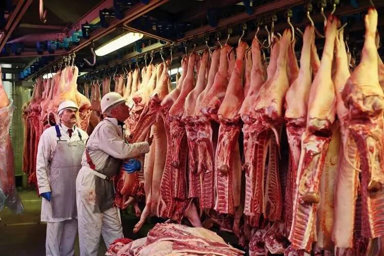 西班牙对华猪肉出口企业达82家，4家新增企业资质曝光