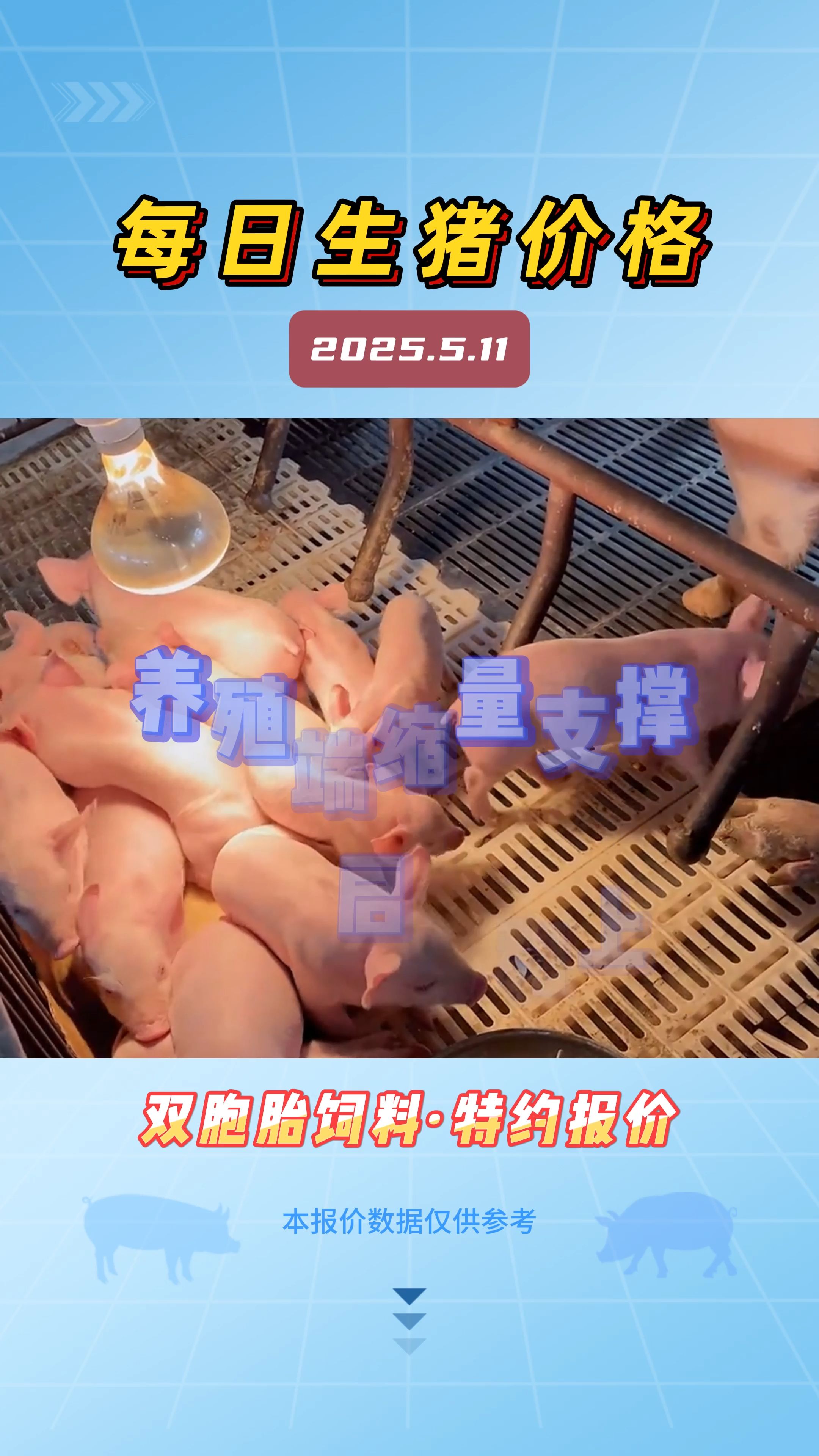 5月11日生猪价格：养殖端缩量支撑，猪价温和上调，这波上涨能持续多久？
