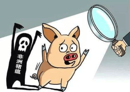 国际非洲猪瘟疫情动态速递！这些防控指南务必收好