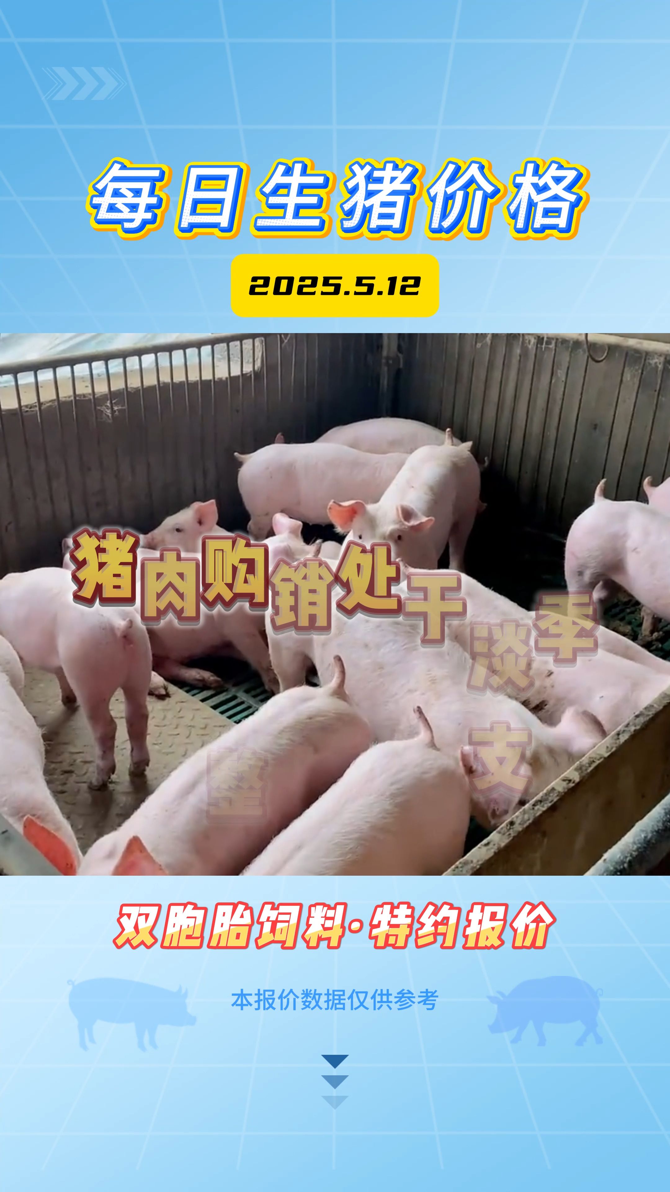 5月12日生猪价格：标猪价格基本维稳，南方上涨压力明显更大