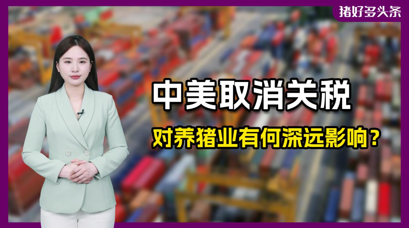 重磅！中美各取消91%加征关税，饲料却又涨价了？