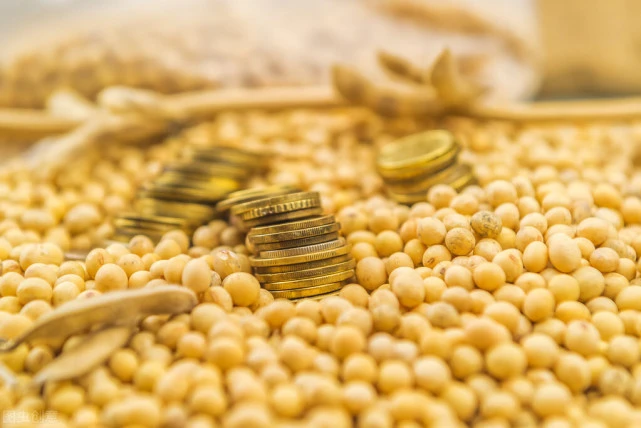 USDA供需报告剧透：巴西大豆产量创纪录，全球库存飙升16%