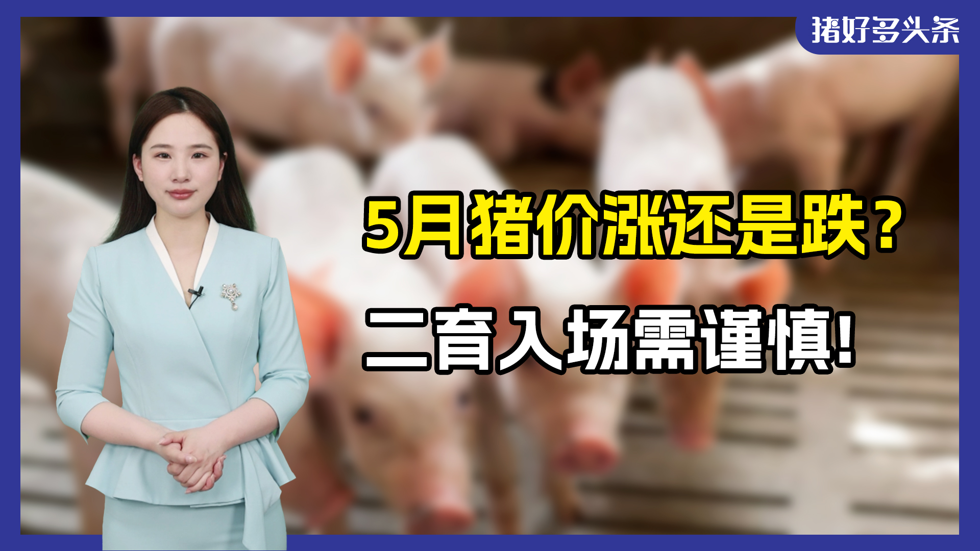 5月猪企出栏继续增长！二次育肥扎堆入场？大猪存栏或已过剩！