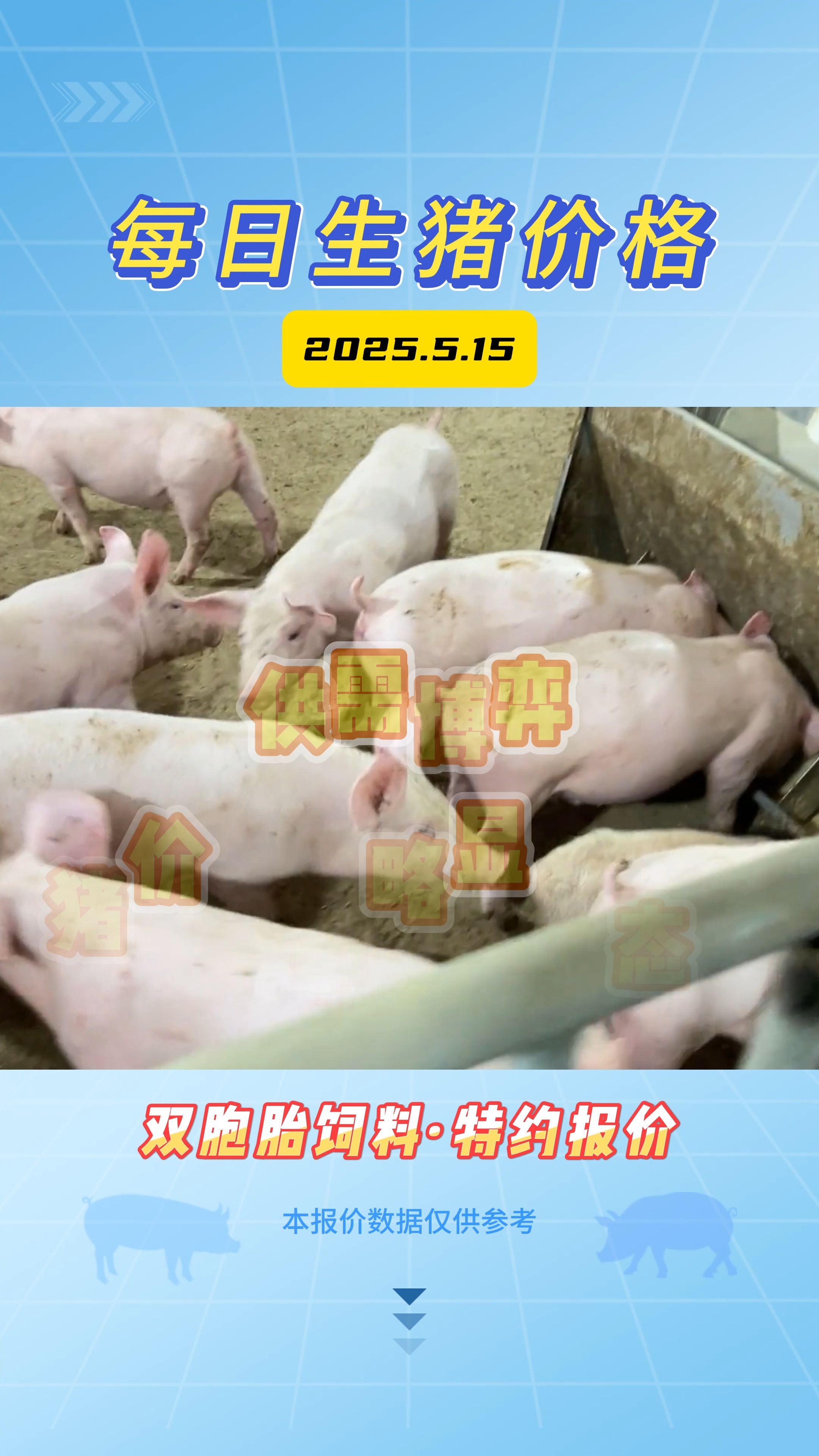 5月15日生猪价格：整体继续稳定，东北带头下跌，后市行情不容乐观？
