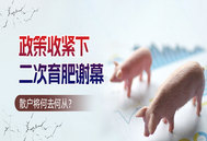政策收紧下，二次育肥谢幕，散户何去何从？