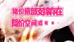 5月17日生猪价格：底部支撑存在，猪价降价空间或有限？
