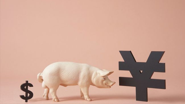 猪价僵持运行俩月，涨跌皆难，年内低点是否已成“过去式”？