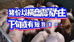 5月20日生猪价格：以横盘震荡为主，下旬或有短暂支撑？