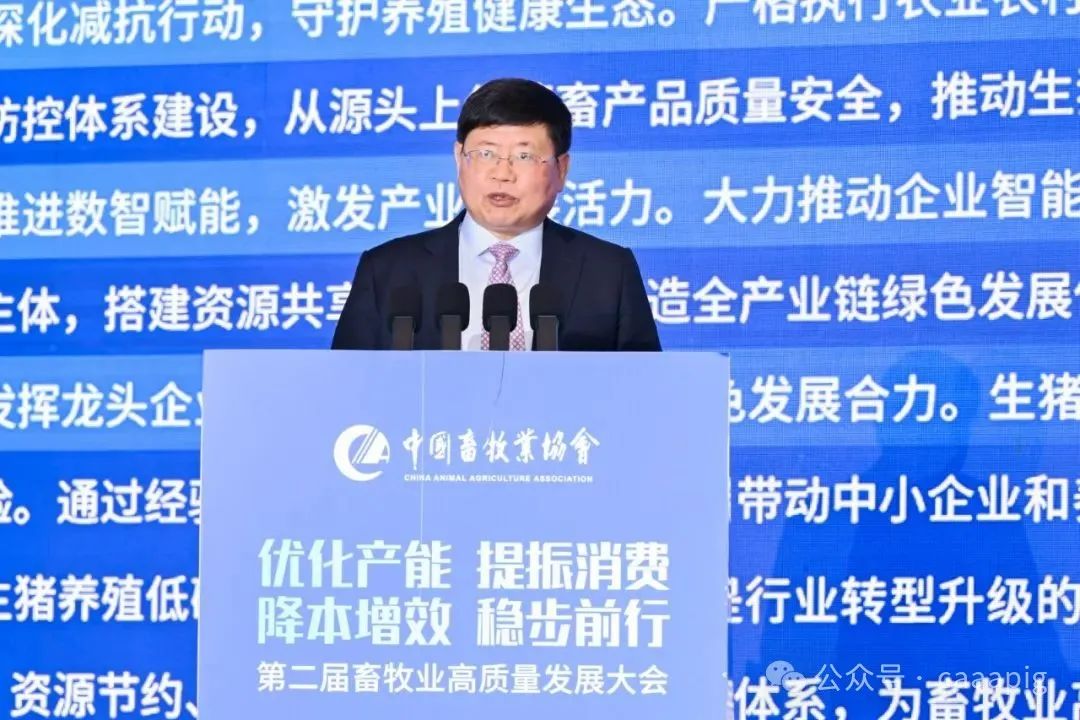 沙玉圣