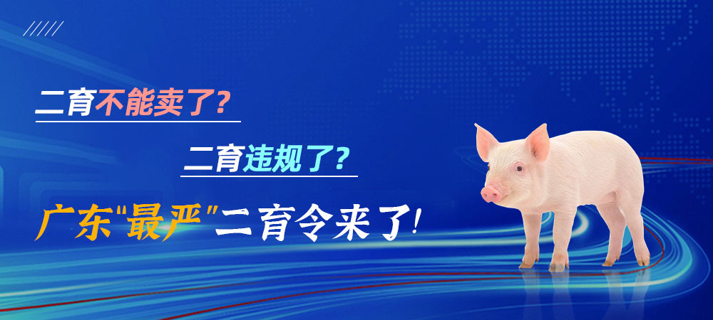 二育不能卖了？二育违规了？广东“最严”二育令来了