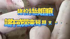 5月21日生猪价格：持续磨底，但端午备货或带来短期支撑？