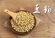 2025年5月23日全国各省市豆粕价格行情，大豆到港高峰来临，后市豆粕价格继续上涨可能不大？