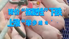 5月23日生猪价格：行情“报复性”下跌，上涨“举步维艰”？