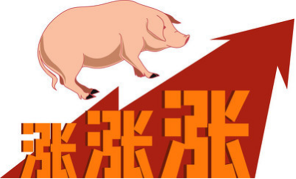 头部猪企单季净利翻两倍！畜牧养殖ETF获资金流入