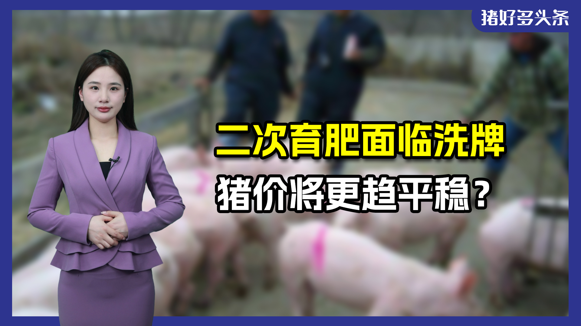 二次育肥或将熄火！南方多省限制二育，将带来哪些影响？