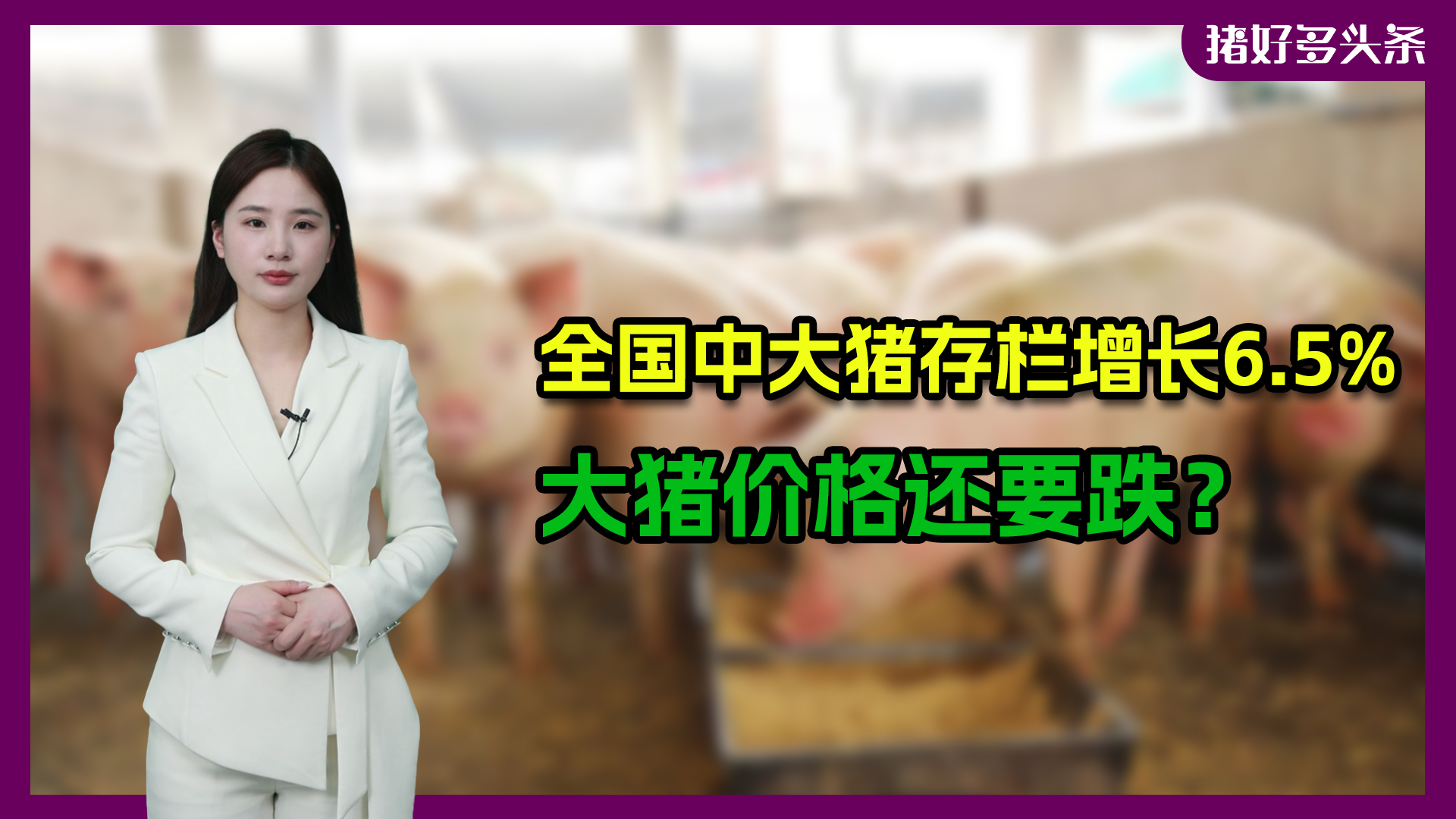 警惕！4月中大猪存栏增长6.5%、5省严查生猪调运，二育带崩行情？