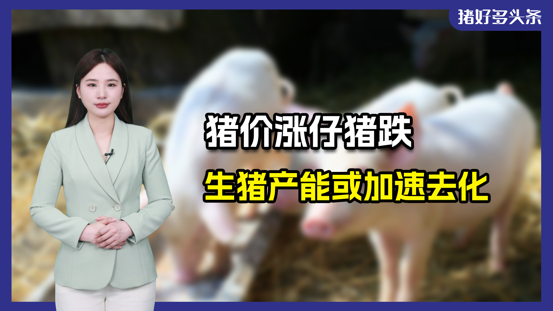5月底猪价3连涨！仔猪连跌！释放什么信号？