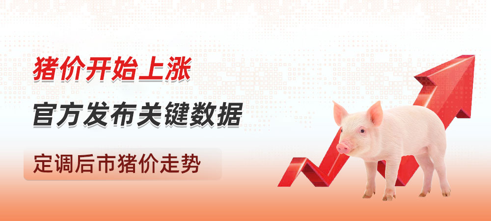 猪价开始上涨！官方发布关键数据，定调后市猪价走势