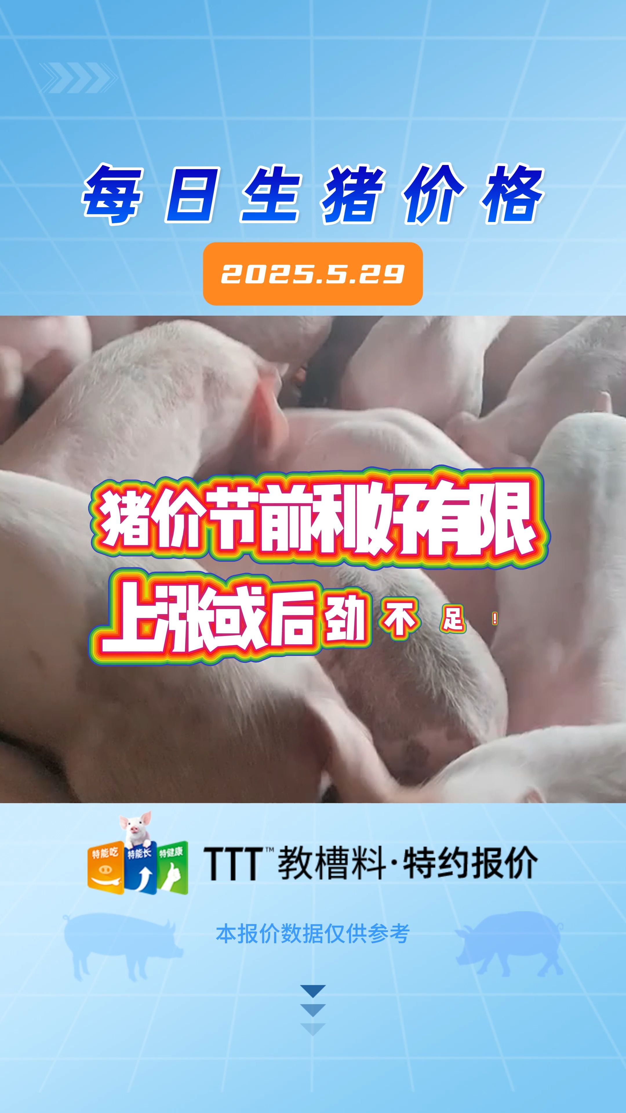 5月29日生猪价格：端午备货结束，猪价稳中调整！
