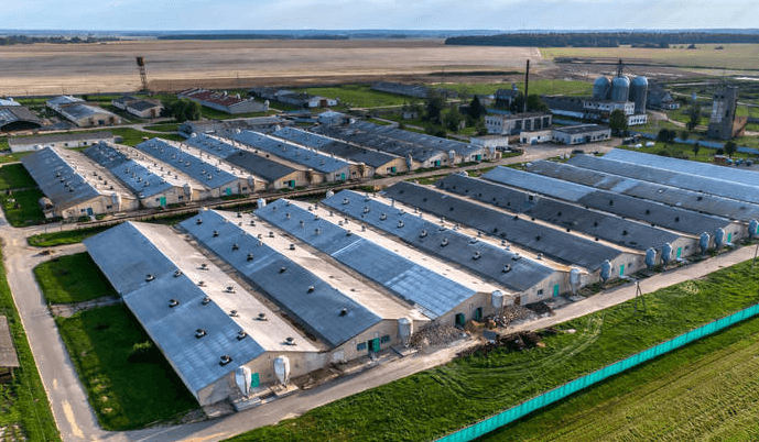 中小猪场选址避开这5大雷区，建设成本直降30%！