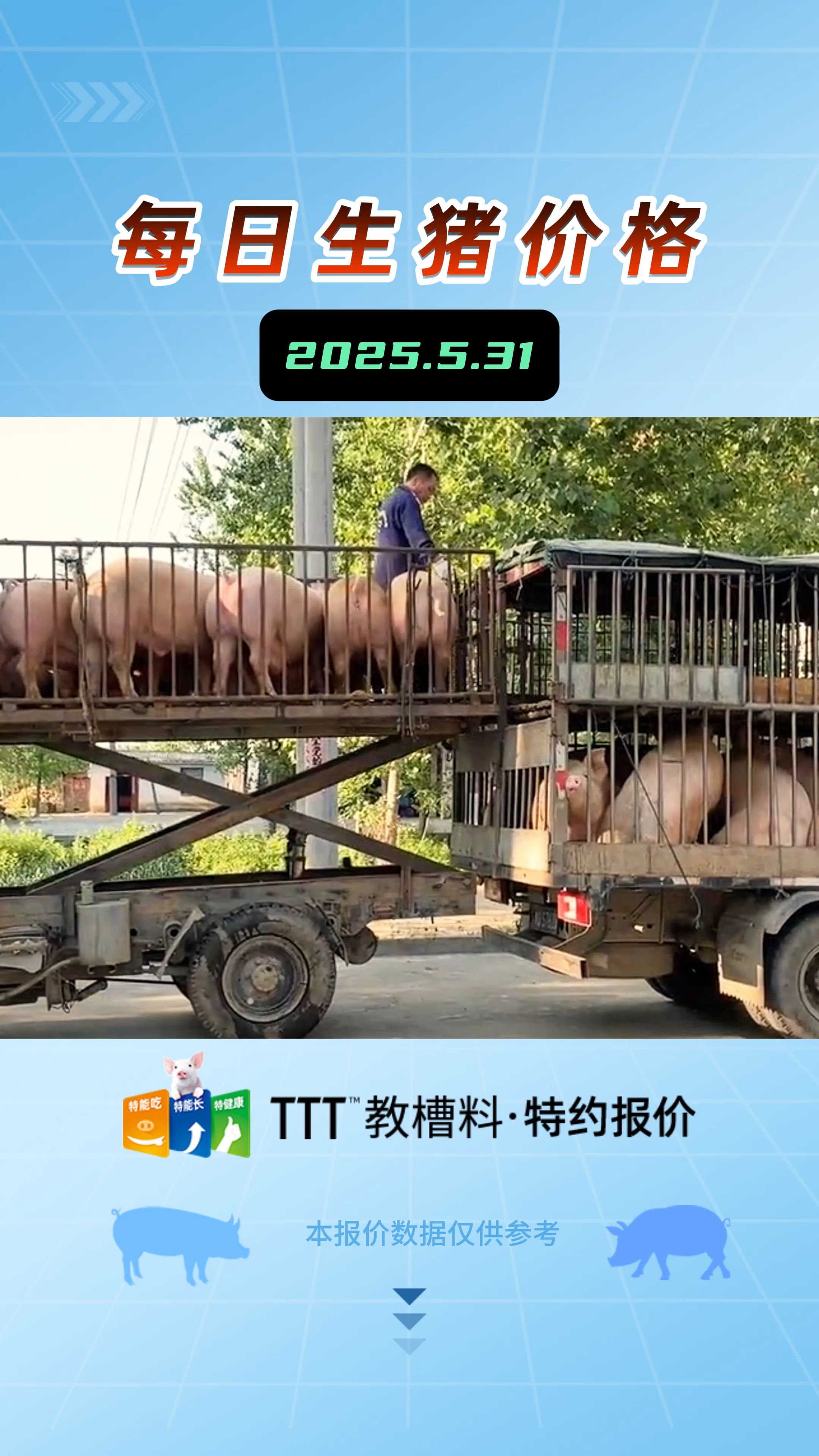 5月31日生猪价格：猪价反弹后劲不足，刚涨几天就开始飘绿，6月还将继续跌？