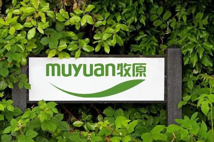 牧原香港《上市招股书》暗藏啥？畜牧业未来增量空间揭秘