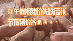 6月3日生猪价格：大场恢复出栏，整体稳定为主，小幅调整！