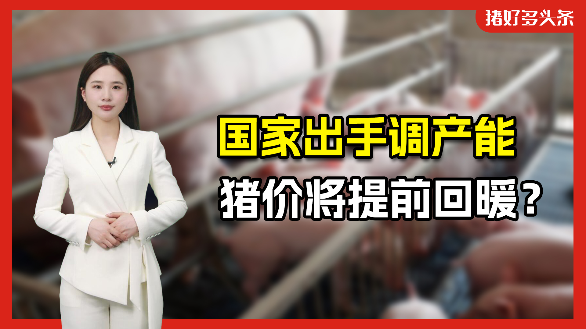 国家出手！暂停扩产母猪、二次育肥，三季度猪价要涨？