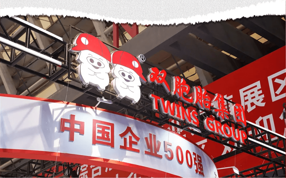 双胞胎