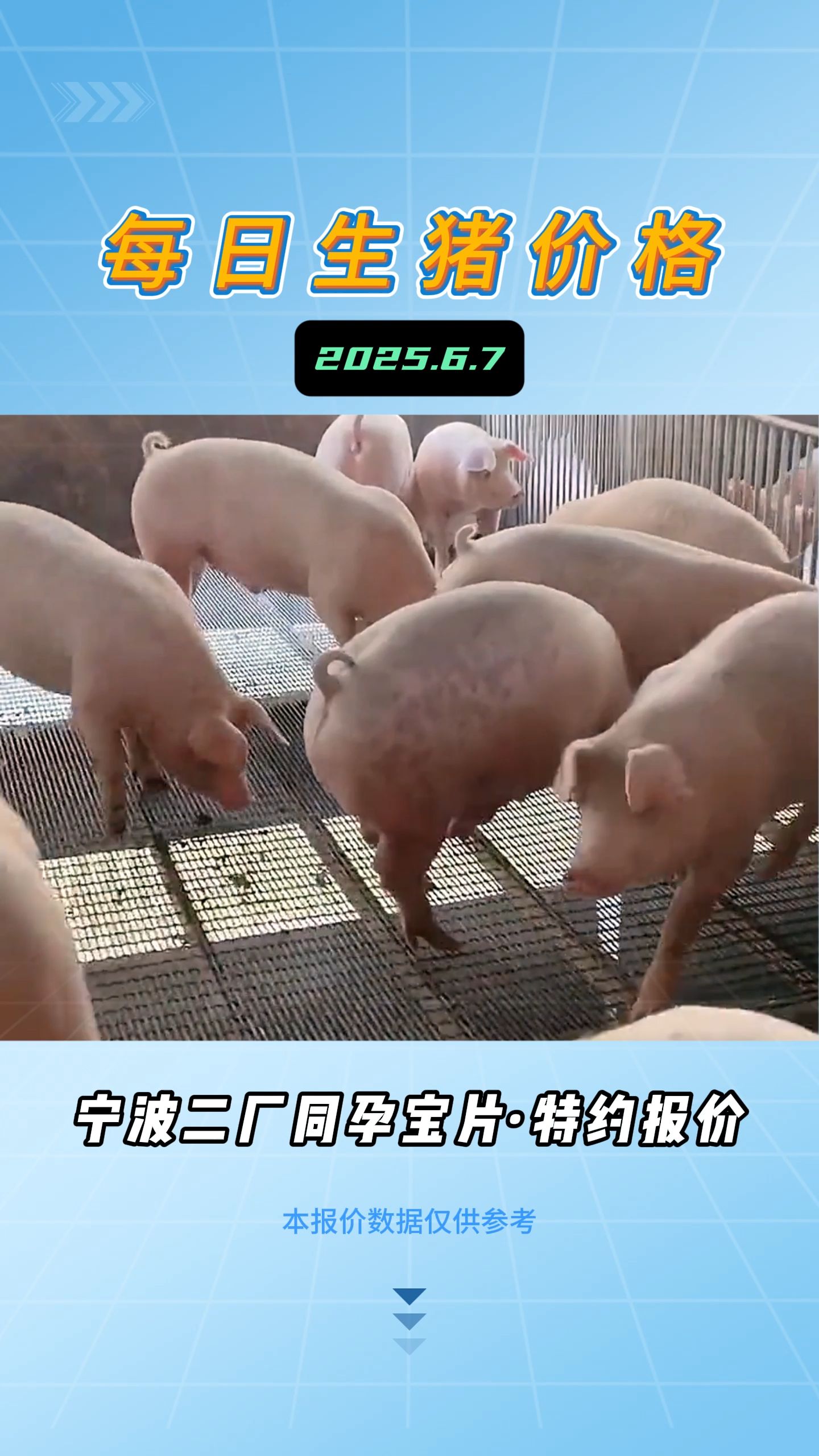 6月7日生猪价格：南北大场都在增量，散户着急卖猪，猪价持续下跌