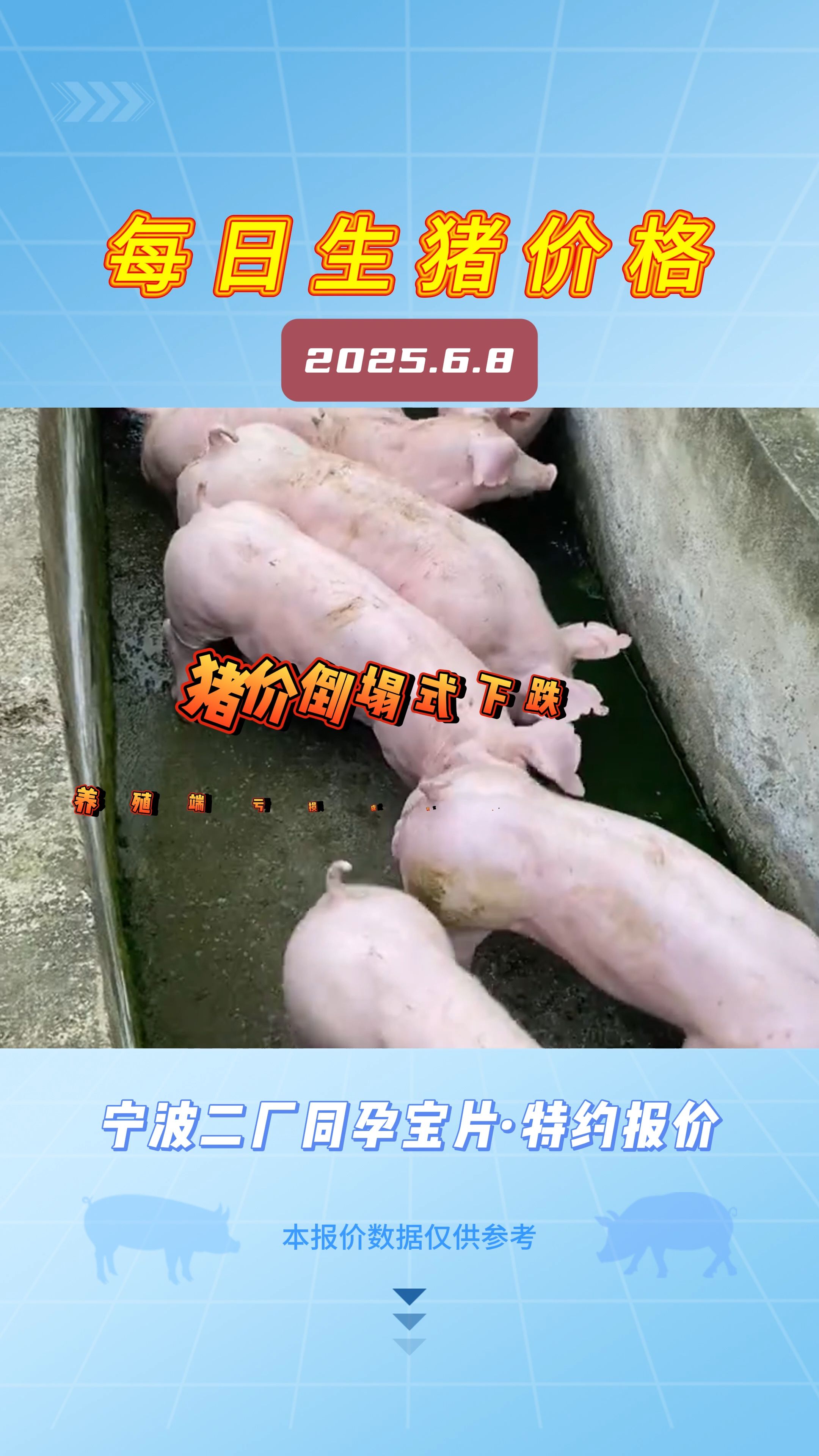 6月8日生猪价格：猪价倒塌式下跌，养殖端亏损成定局？