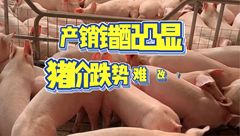 6月9日生猪价格：产销供需错配，猪价继续飘绿！