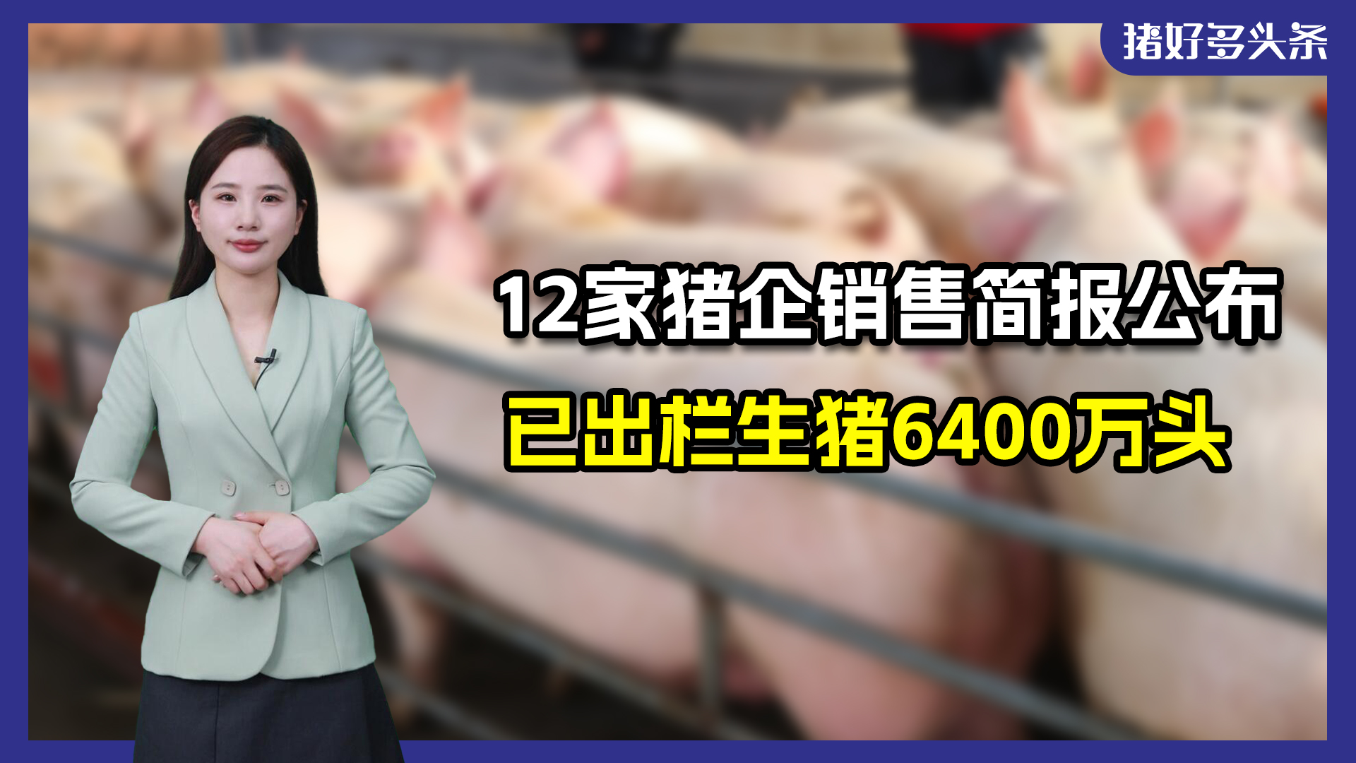 6400万头猪！12家猪企成绩公布，部分企业面临亏损挑战！