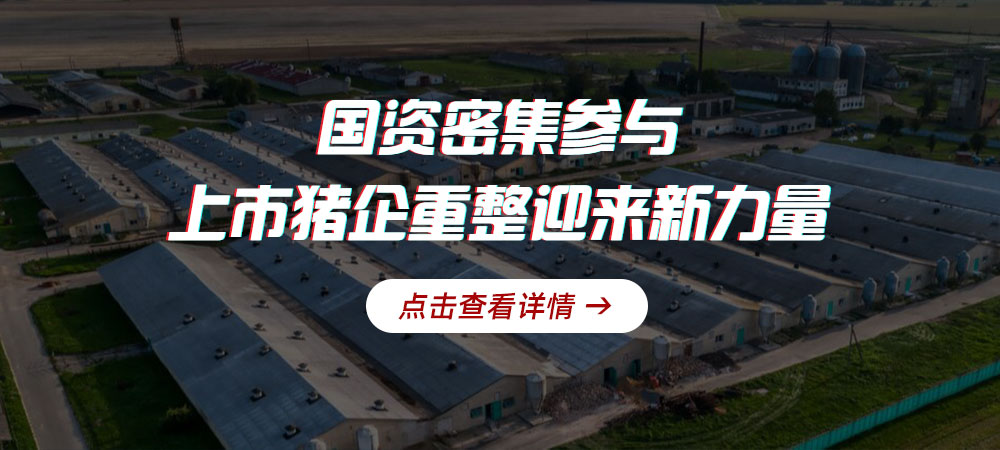 国资密集参与！上市猪企重整迎来新力量