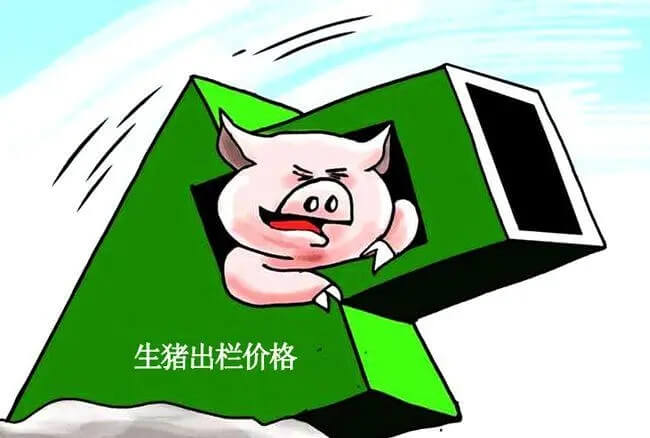 猪价跌破“14”防线，仔猪价连降，6 - 7月猪市还有多大下探空间？
