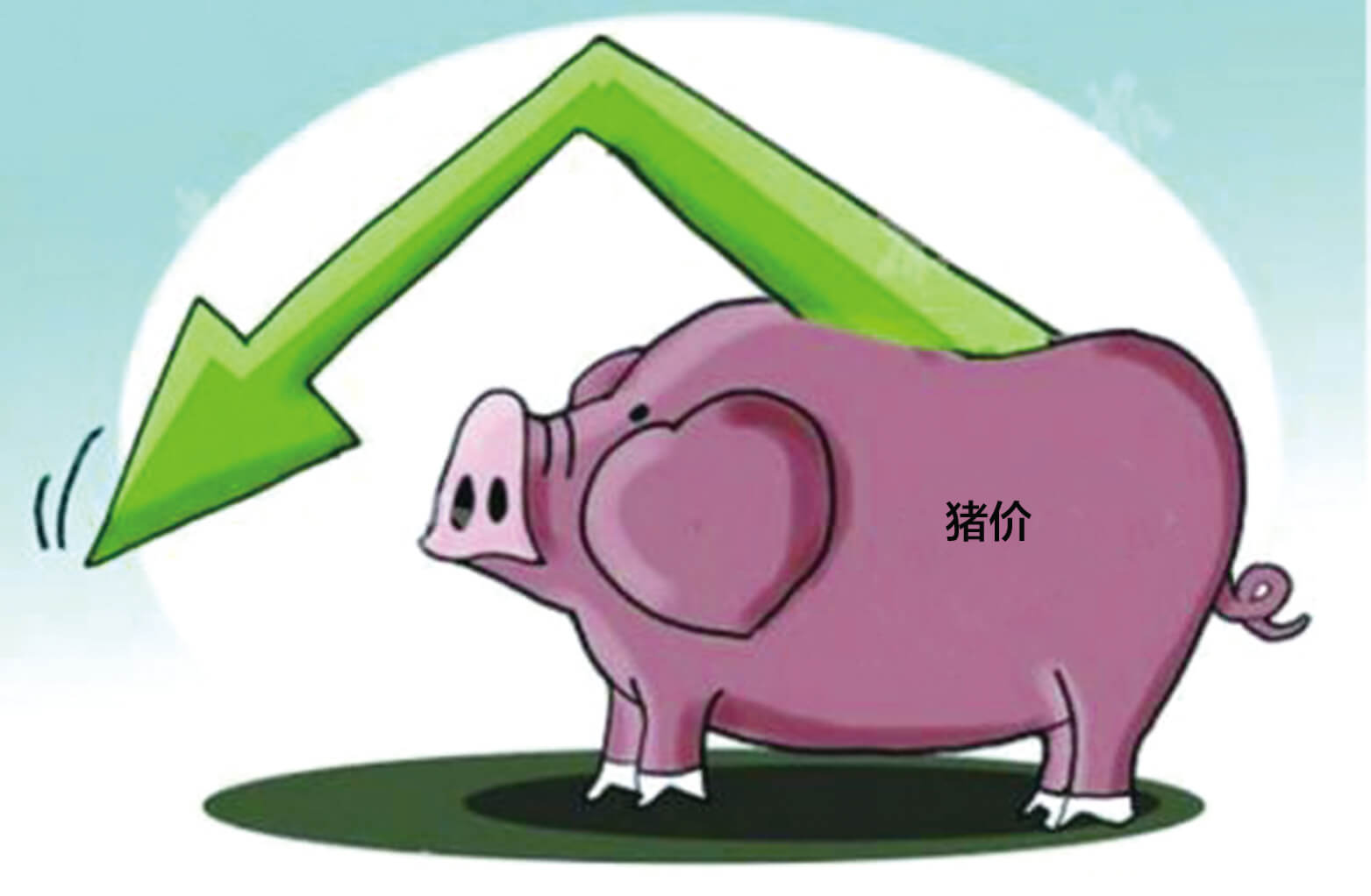 6月第1周：玉米价格环比上涨，生猪产品、豆粕、育肥猪配合饲料价格环比下跌