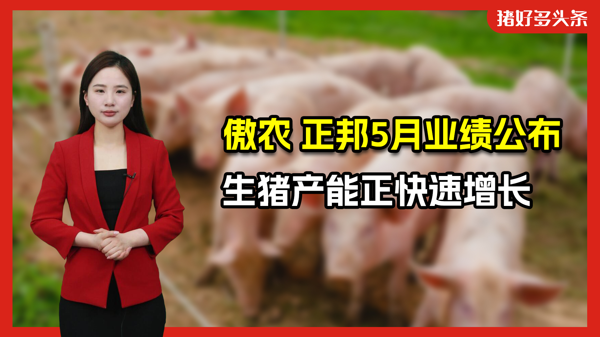 猪王归来！傲农出栏同比增9%，正邦增158%，年出栏将超700万头！