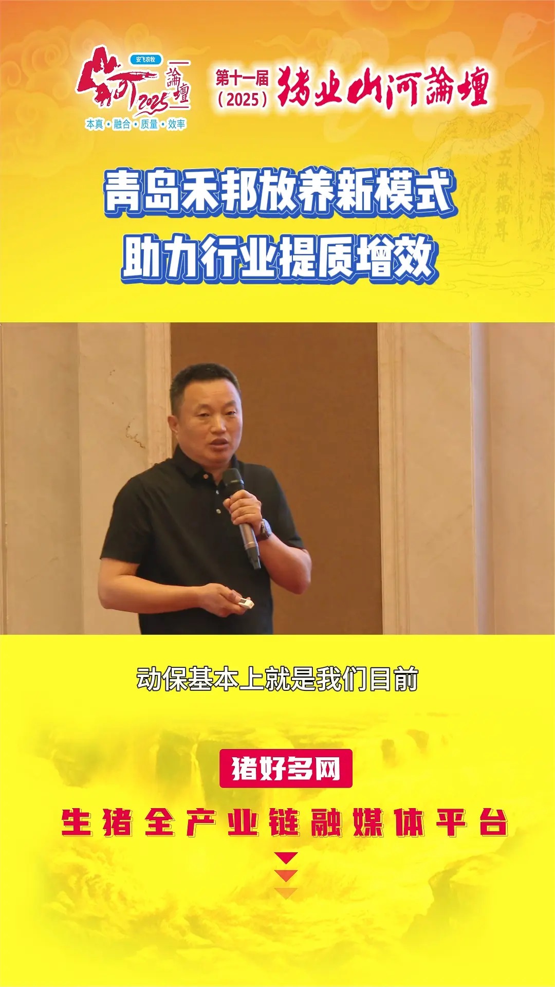 青岛禾邦放养模式、猪苗采购方案介绍，共建养猪价值链，助力行业提质增效！