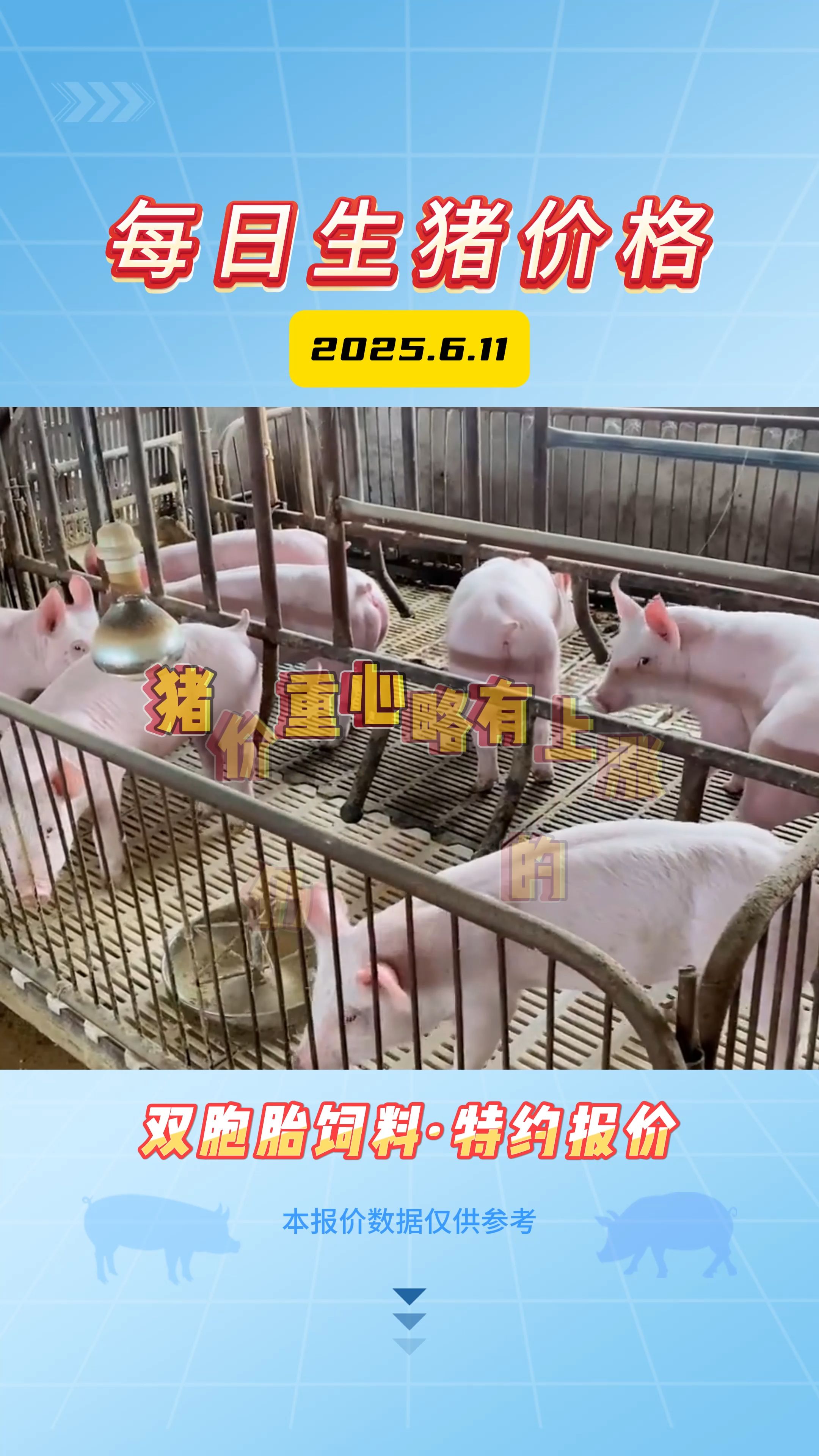 6月11日生猪价格：南北大场缩量，官方收储1万吨猪肉，托底猪价上涨