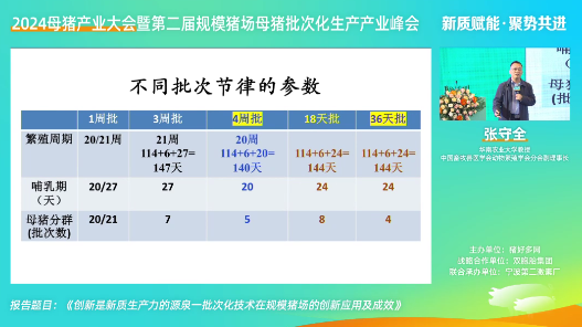 猪场4周批与36天批哪种生产效率更高？29天批可行吗？