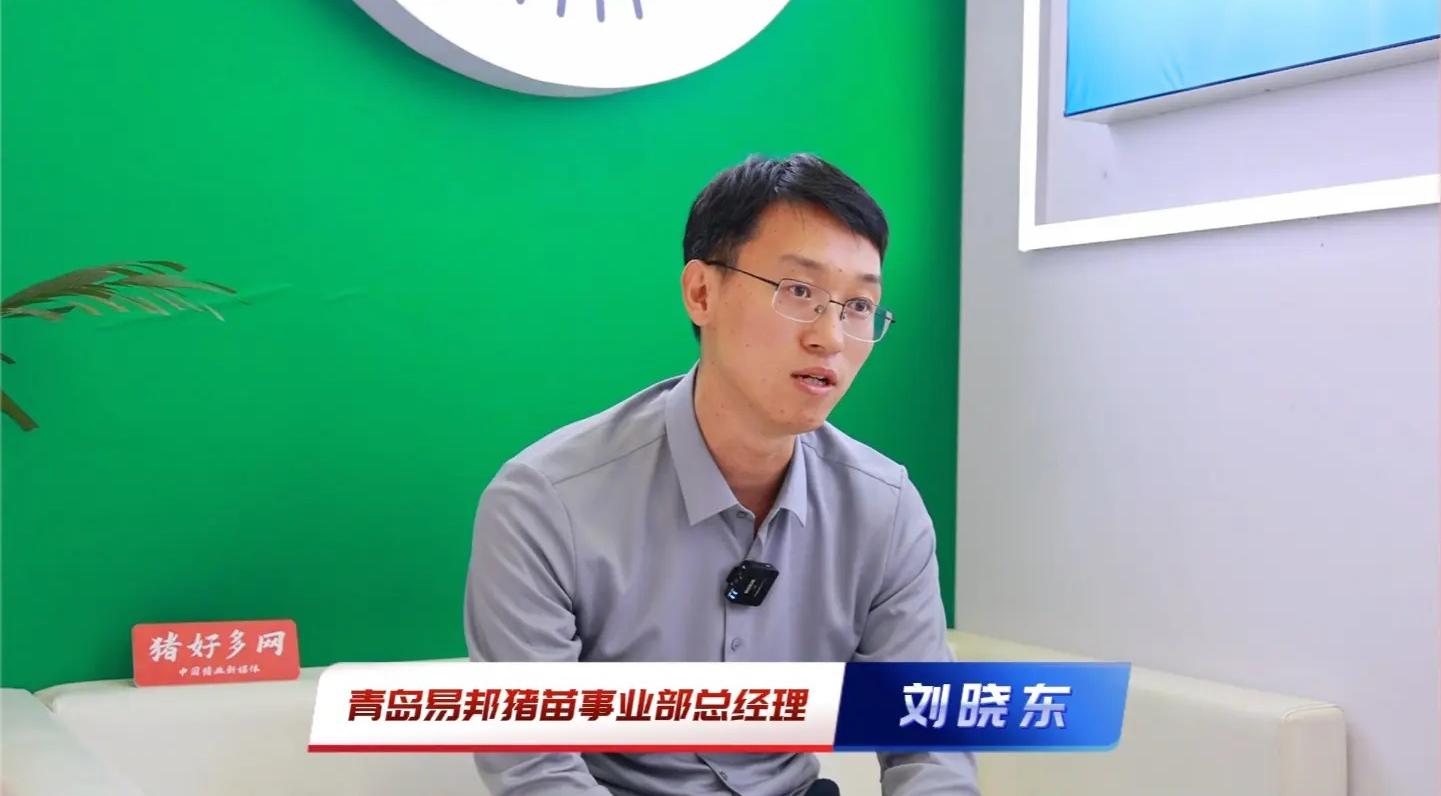 圆环、猪瘟、丁型冠状病毒……青岛易邦用三款猪用疫苗，助力养户效益赋能！