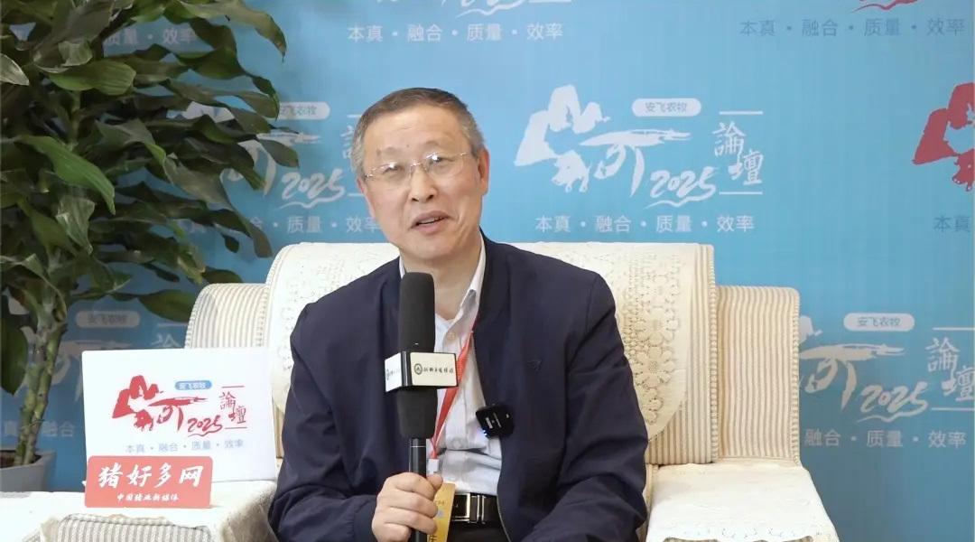 想让放养模式有更长更强的生命力，要在猪苗质量、种猪性能等方面下功夫！