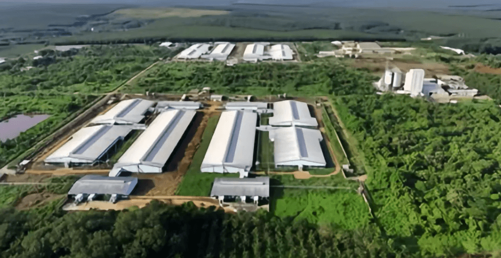 从垂直工厂到全球化农业产业链，新希望借新加坡“出海”，实现惊艳破圈！