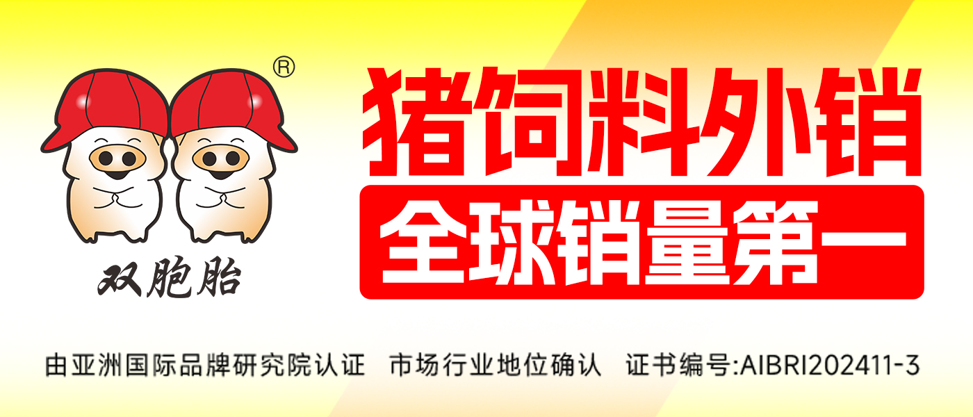 双胞胎（1-10日）