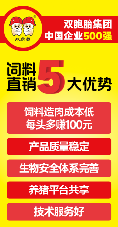 双胞胎（左）