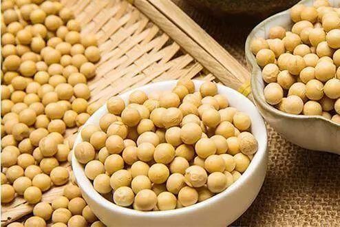 玉米小麦齐上扬，大豆行情“稳”字当头