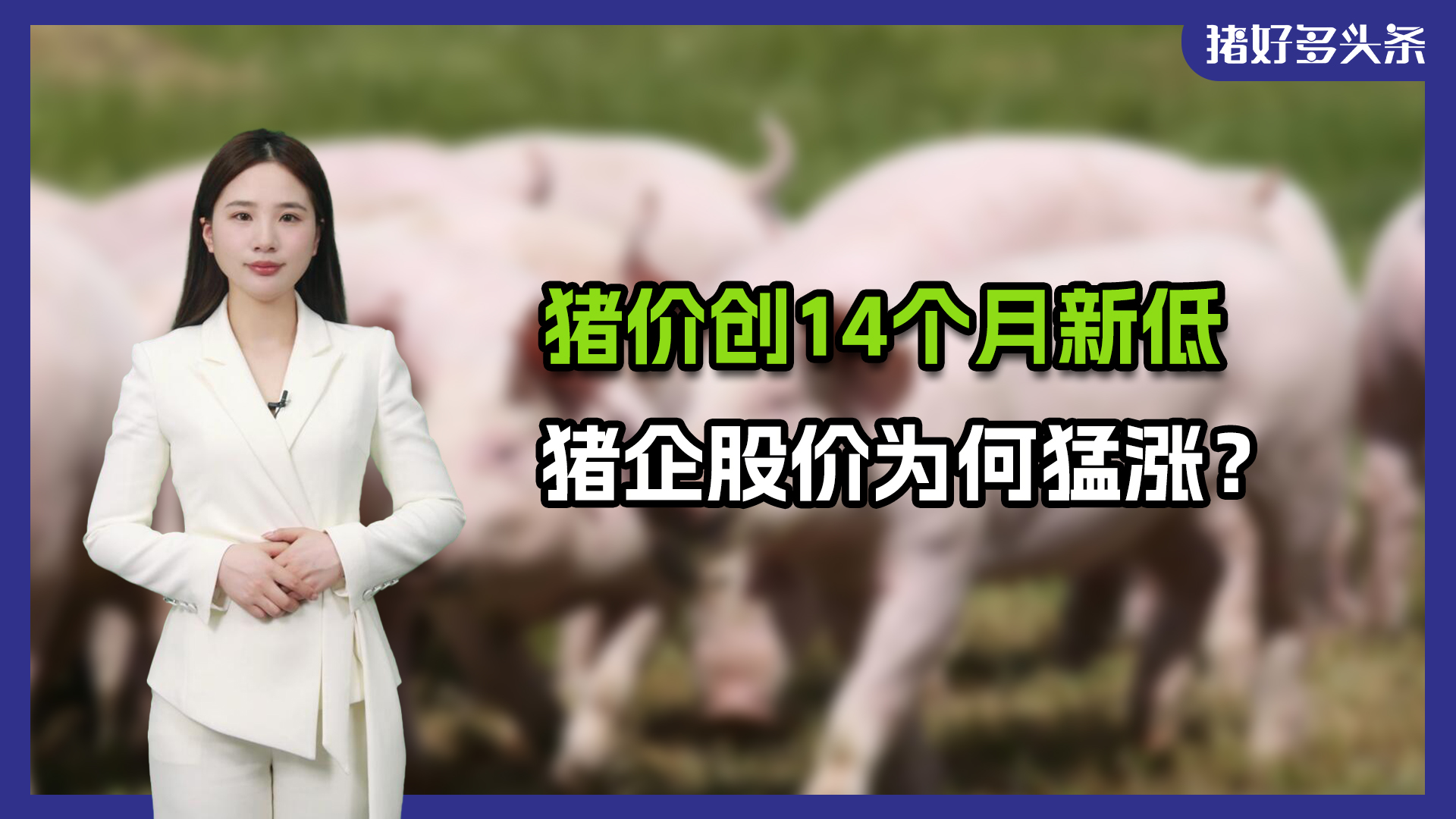 国家发改委最新预警，猪价或持续下跌！但猪企股价罕见拉涨！