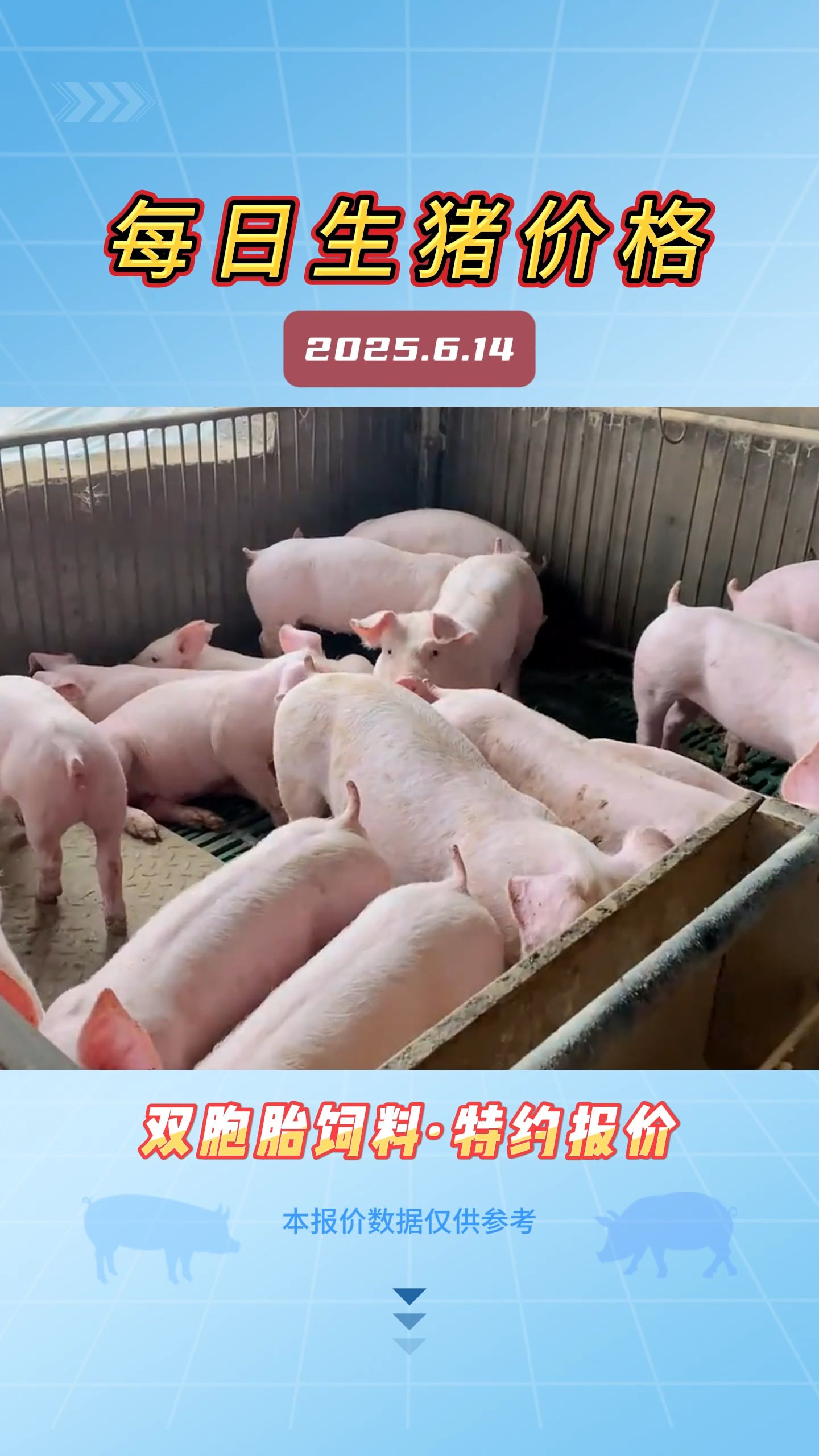 6月14日生猪价格：上涨后劲不足，猪价或以弱势盘整为主！
