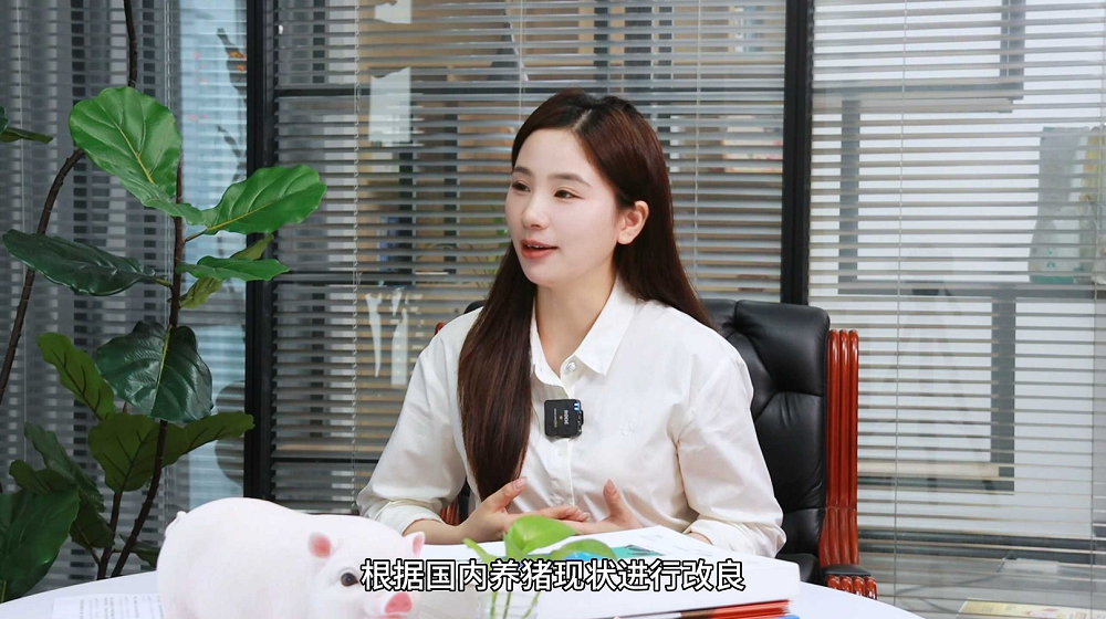 批次化生产如何提高母猪受胎率？“高效定时输精”方案这些细节要注意！