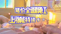 6月16日生猪价格：南北大场均上涨！是短期提振还是彻底反转？
